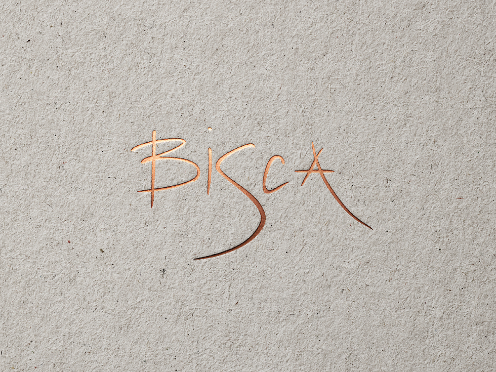 Bisca: Brochure by Intravenous